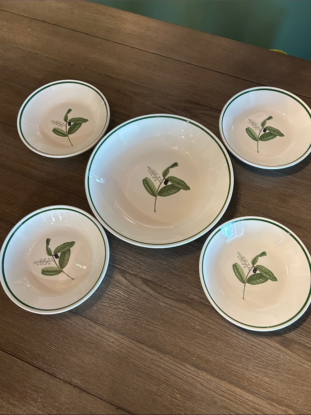 Pasta bowl set painted olive sprig center design serving bowl and dinner bowls